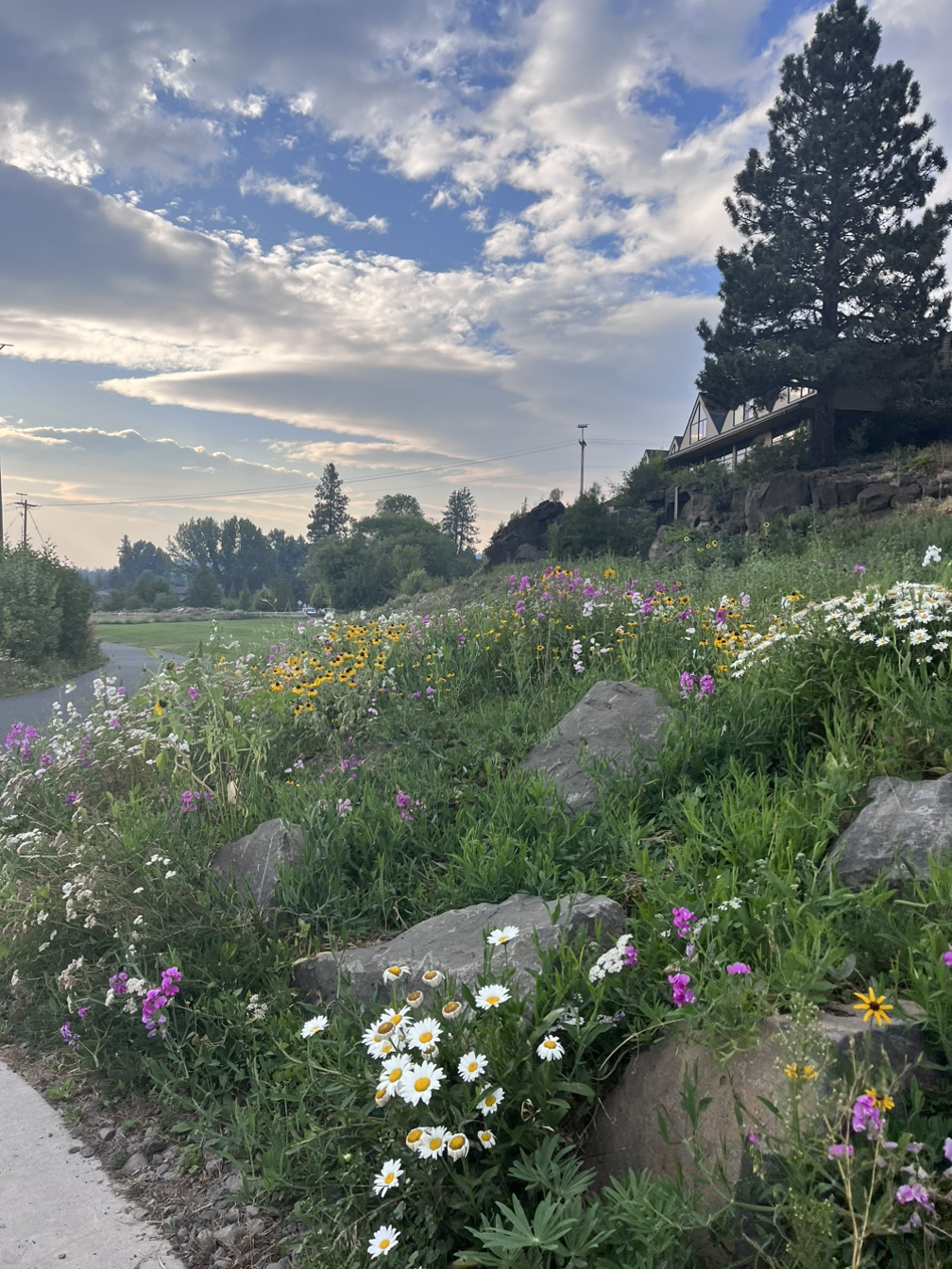 Summer in Oregon