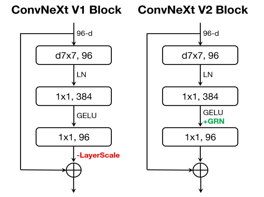 ConvNeXt V2