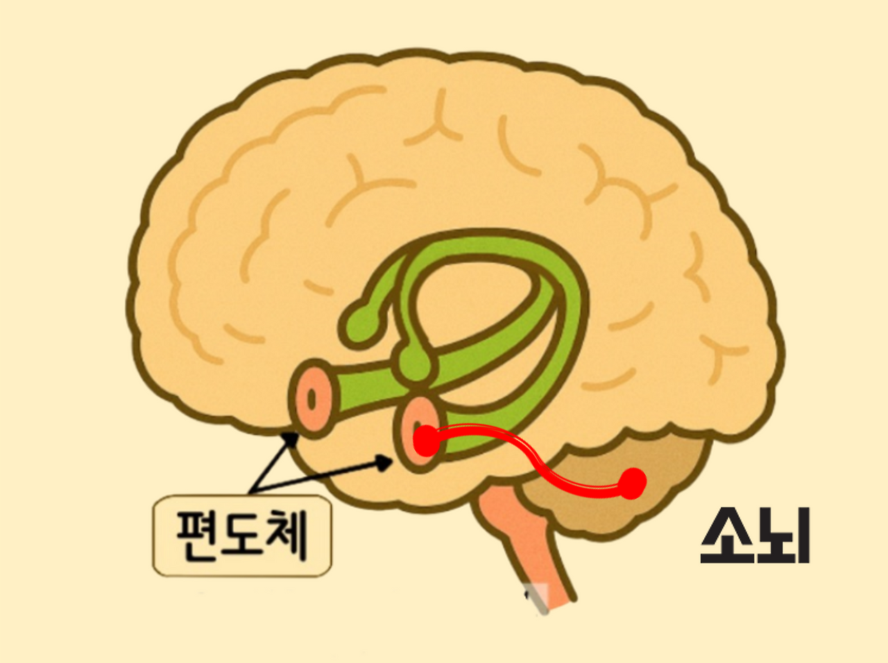 04화 #2. 불안한 뇌 - 걱정에 지배당하지 않는 법