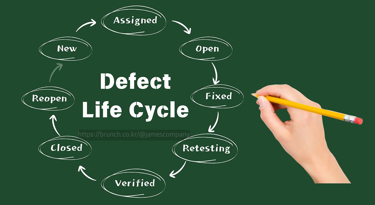 Defect Life Cycle