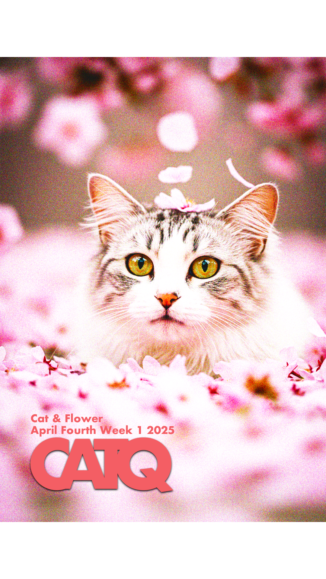 25 April Fourth Week Issue 7