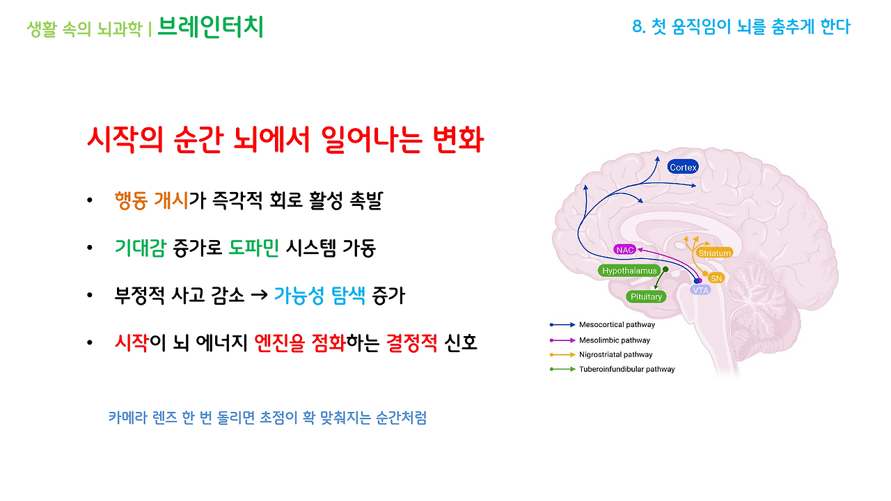 10화 첫 움직임이 뇌를 춤추게 한다