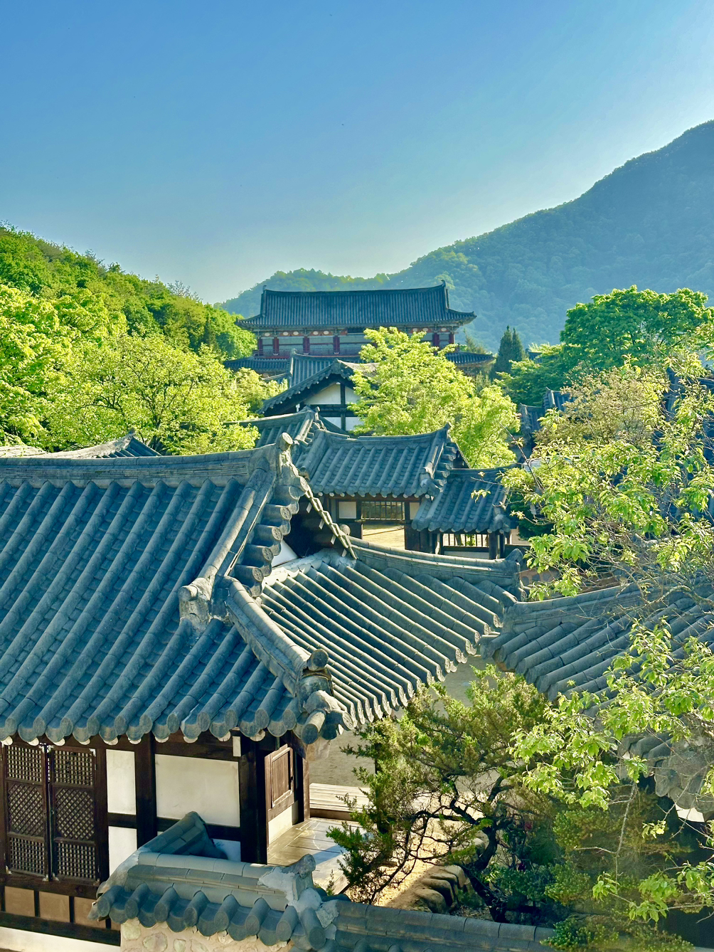 혜안(慧眼)