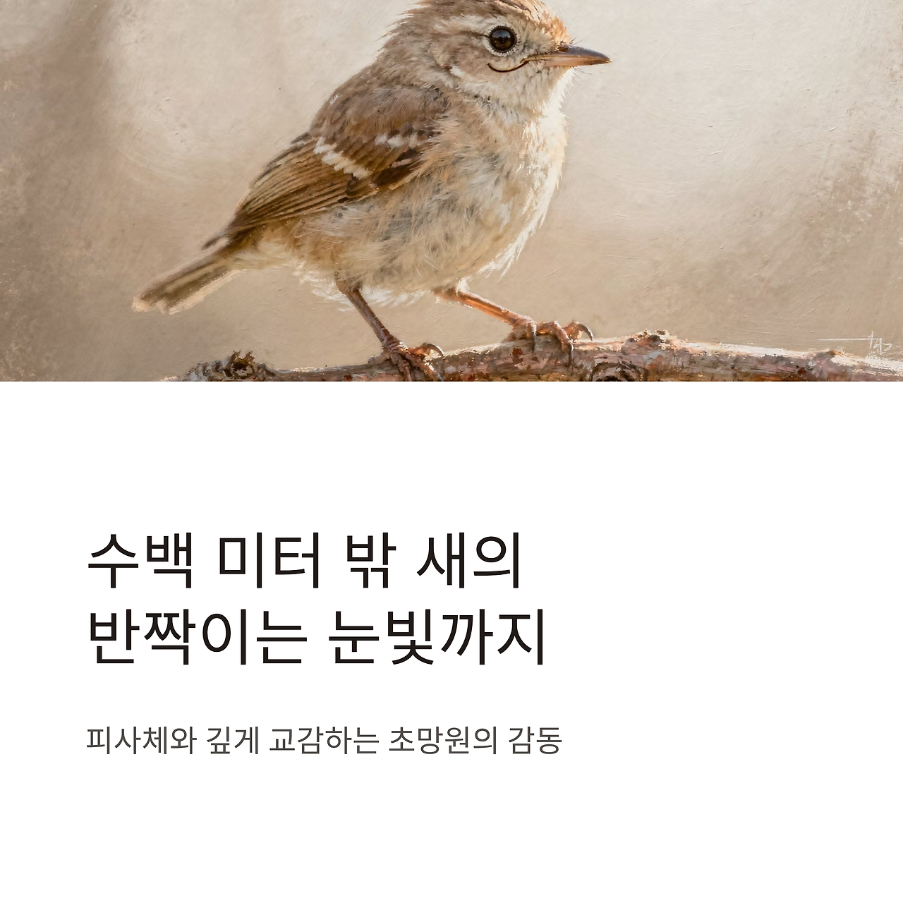 SEL400800G 소니 망원 렌즈 추천 후기 리뷰