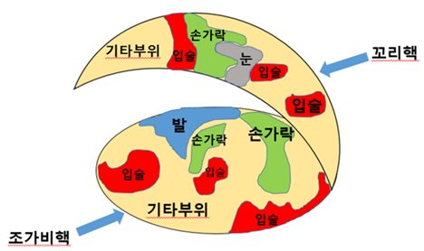 뇌새김(brain imprint) 공무원 공부법(1)