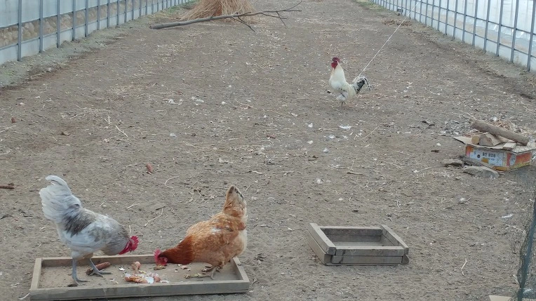 99FD26455ABEB4960951F9