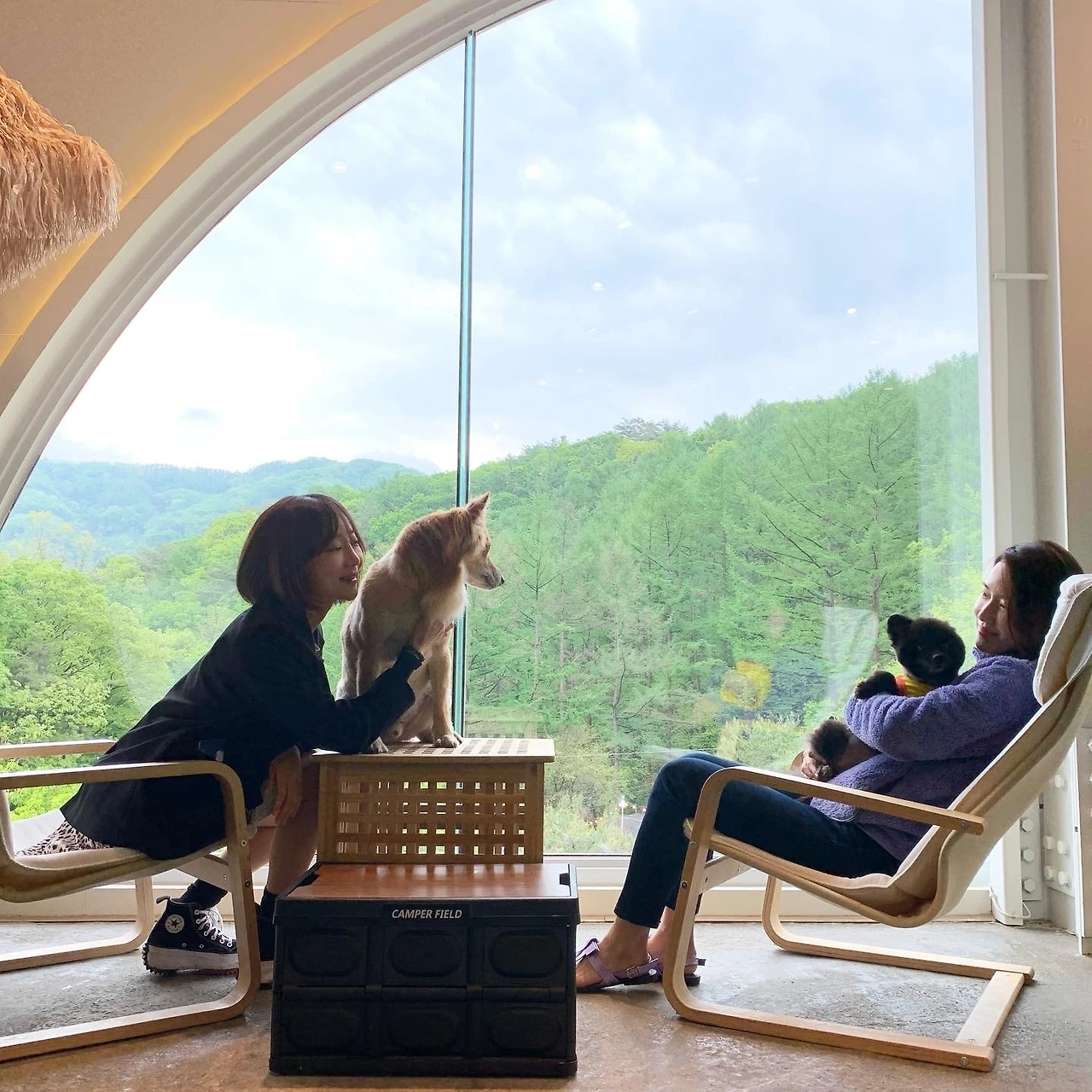 개키우면 시집 못 간다