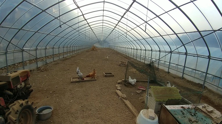 99EDAF455ABEB49203ED86