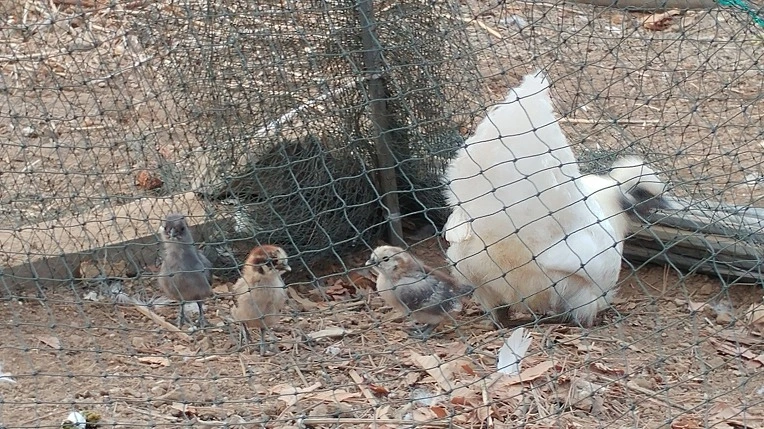 999FE7455ABEB49A0B0DC8