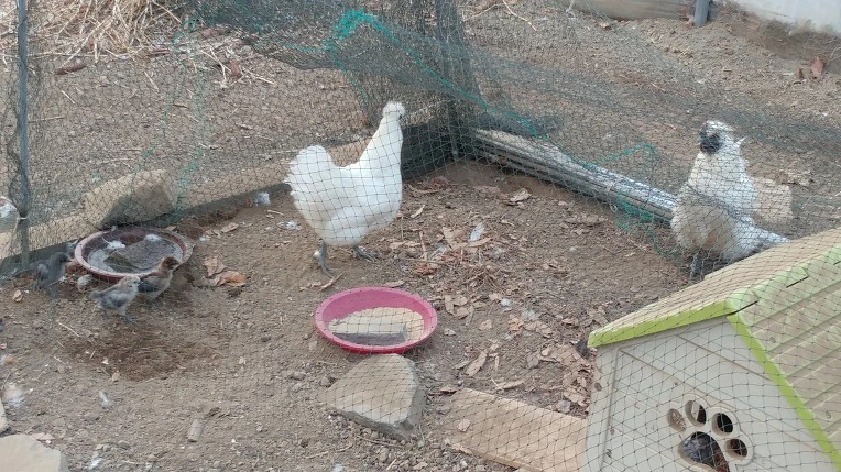 9949D7455ABEB4980D7401