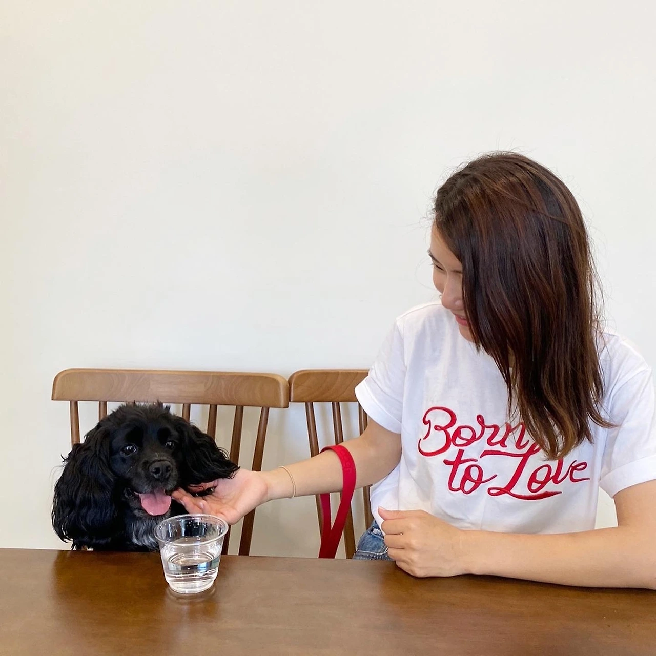 개키우면 시집 못 간다