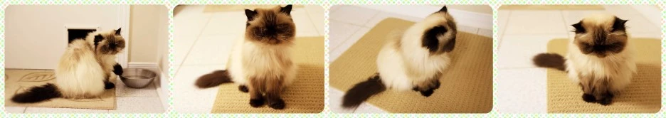 New_Image.jpg?type=w1