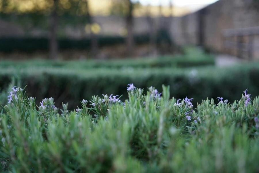 1488456740153.jpg?type=w966