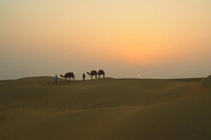 P1010678.JPG?type=w1