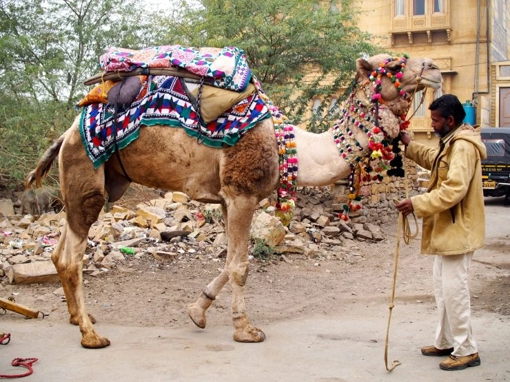 P1140064.JPG?type=w1