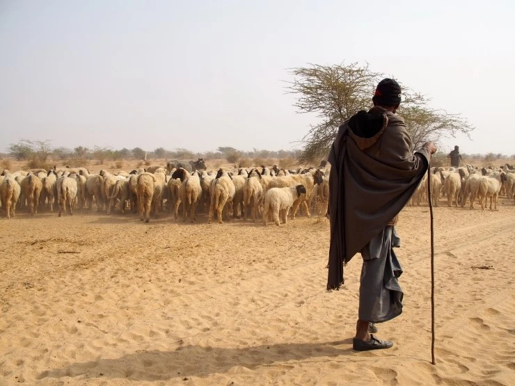 P1150006.JPG?type=w1