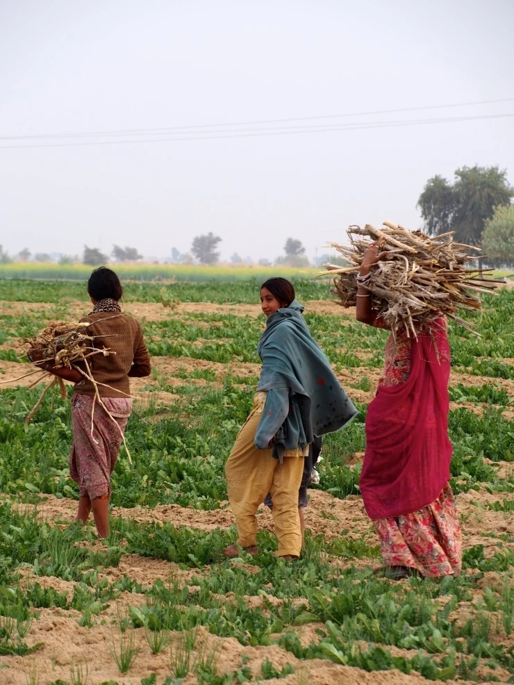 P1130087.jpg?type=w1