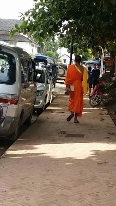 1937499_710746865659963_8418745513754821471_n.jpg?type=w1