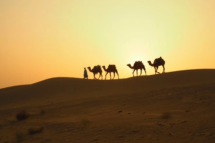 P1010623.JPG?type=w1