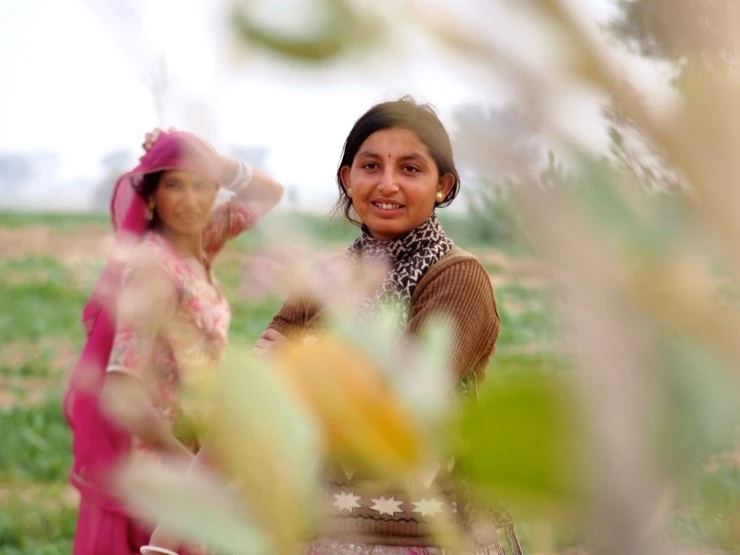 P1130083.JPG?type=w1