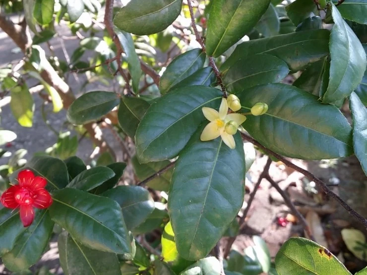 CYMERA_20141005_154528.jpg?type=w1