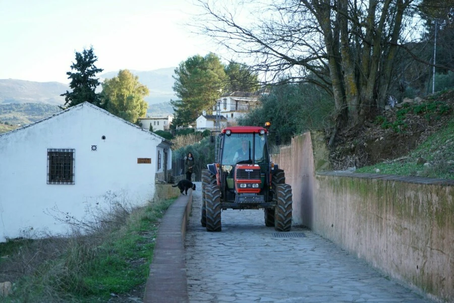 1488456746986.jpg?type=w966