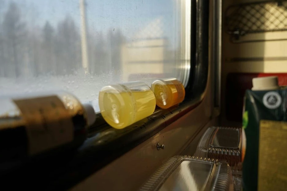 12672030_946322378769076_476538976646072296_o.jpg?type=w1