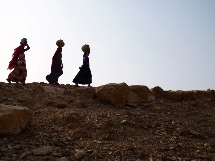 P1140405.JPG?type=w1