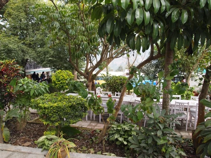 PC275152.JPG?type=w1