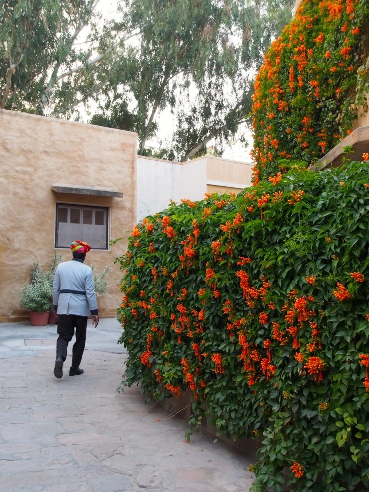 P1150143.jpg?type=w1