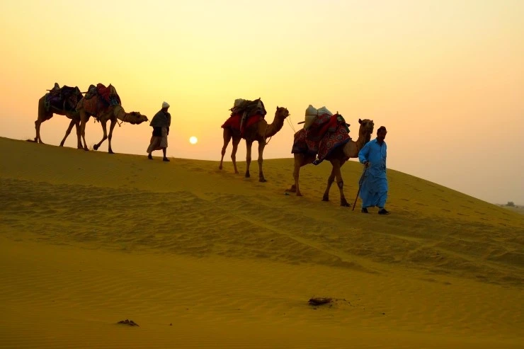 P1010654.JPG?type=w1