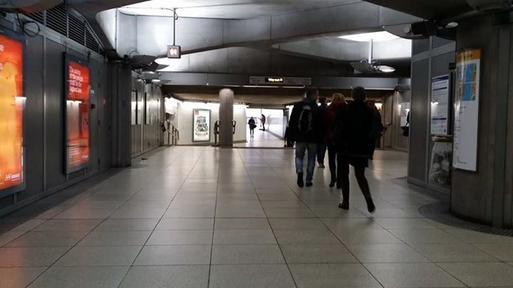 1948024_616899941711323_396421721_n.jpg?type=w1