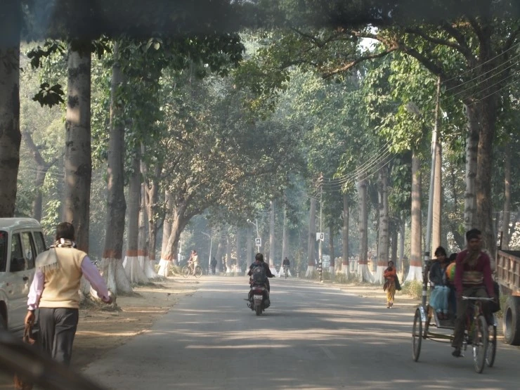 PC305475.JPG?type=w1