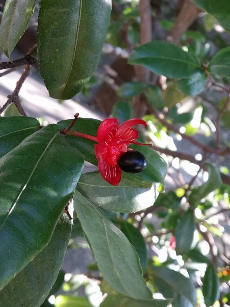 CYMERA_20141005_154442.jpg?type=w1