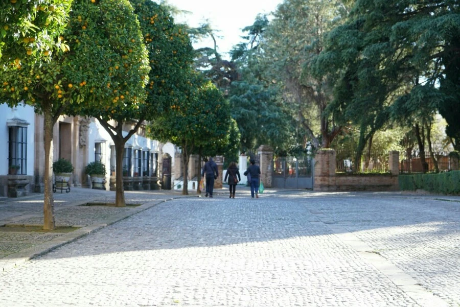 1488456750459.jpg?type=w966