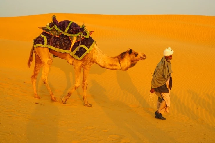 P1010580.JPG?type=w1