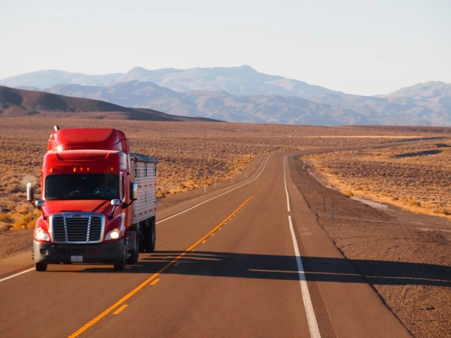 P1013693.JPG?type=w1