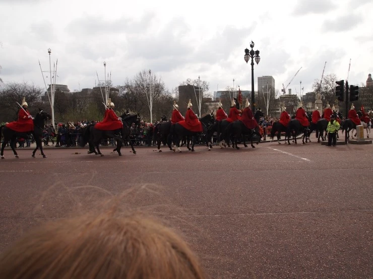 P1016108.JPG?type=w1