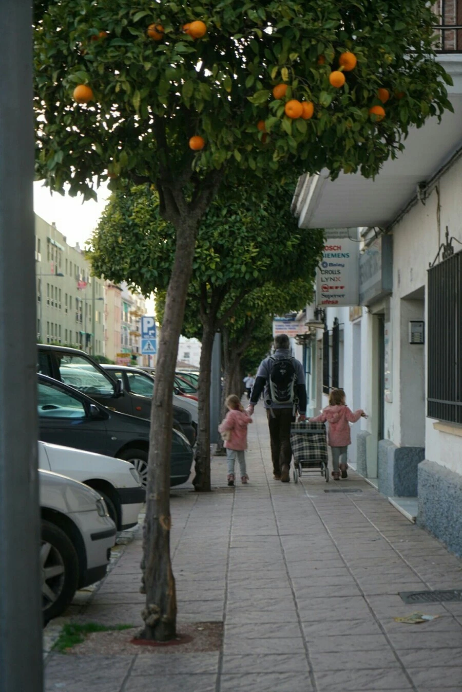 1488456733148.jpg?type=w966