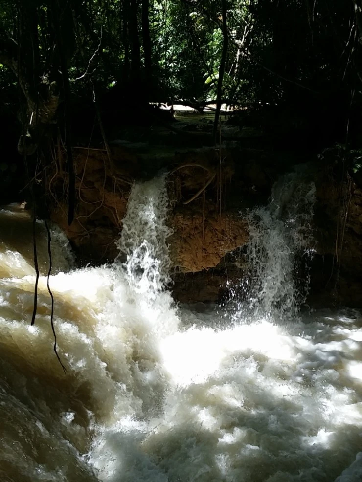 CYMERA_20141001_132832.jpg?type=w1