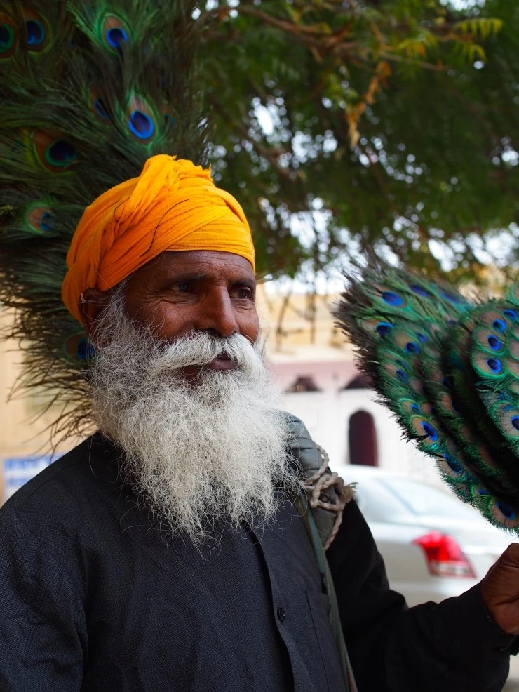 P1140133.jpg?type=w1