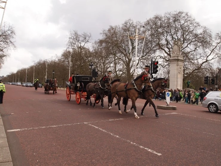 P1016123.JPG?type=w1