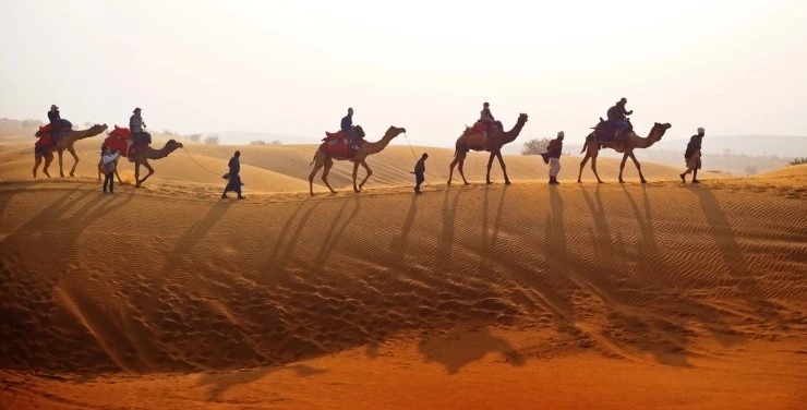 P1010996.jpg?type=w1