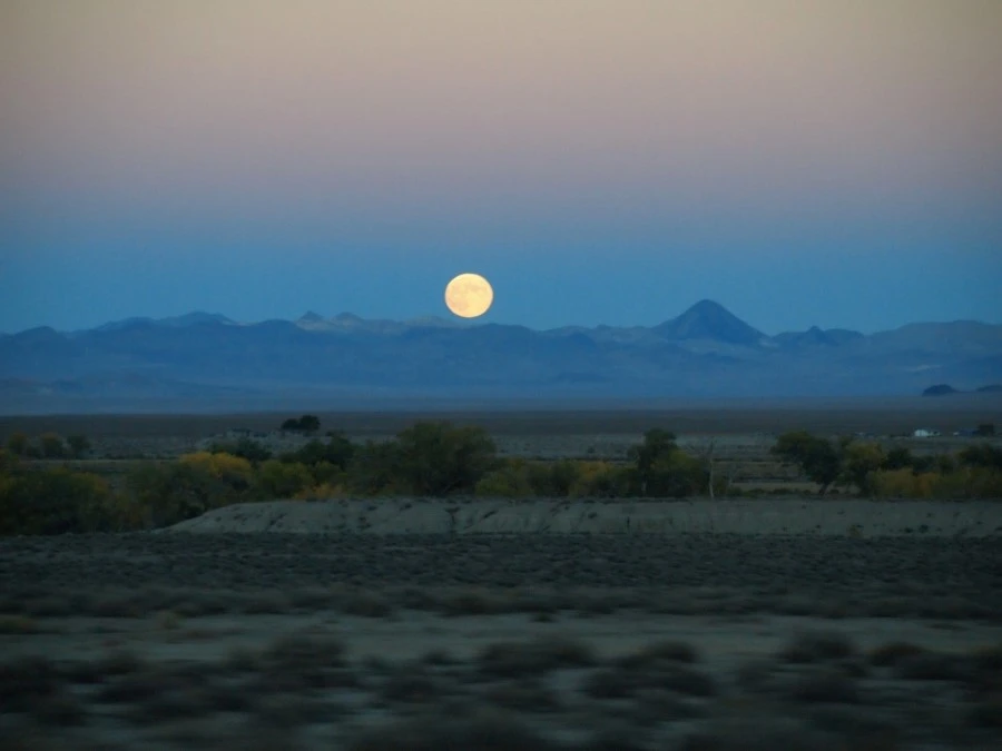 P1013854.JPG?type=w1