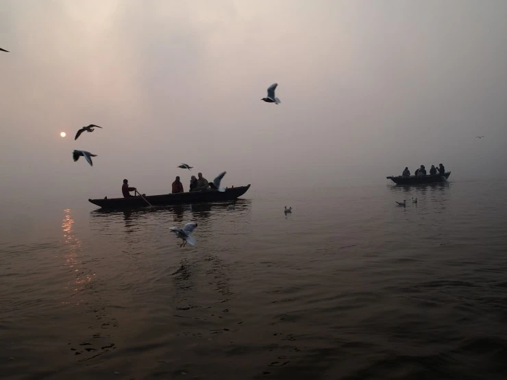 PC305452.JPG?type=w1