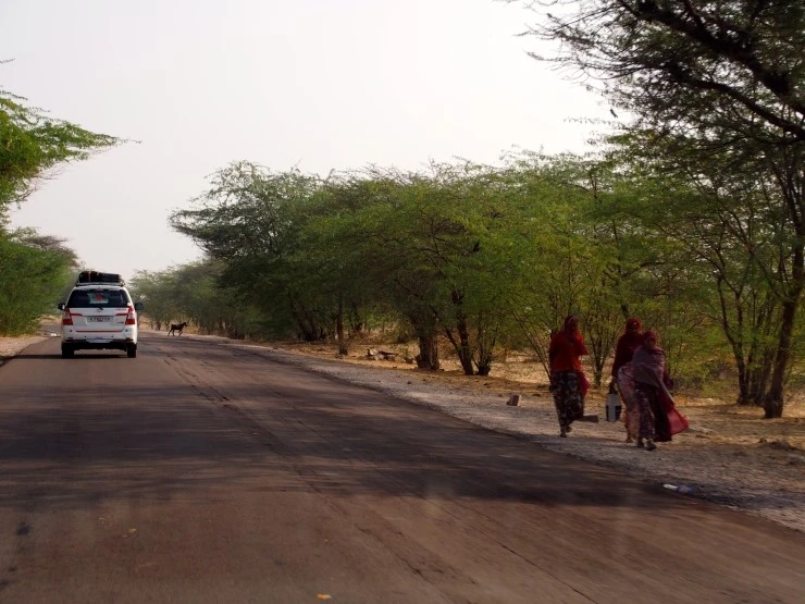 P1150076.JPG?type=w1