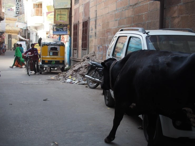 P1120127.JPG?type=w1