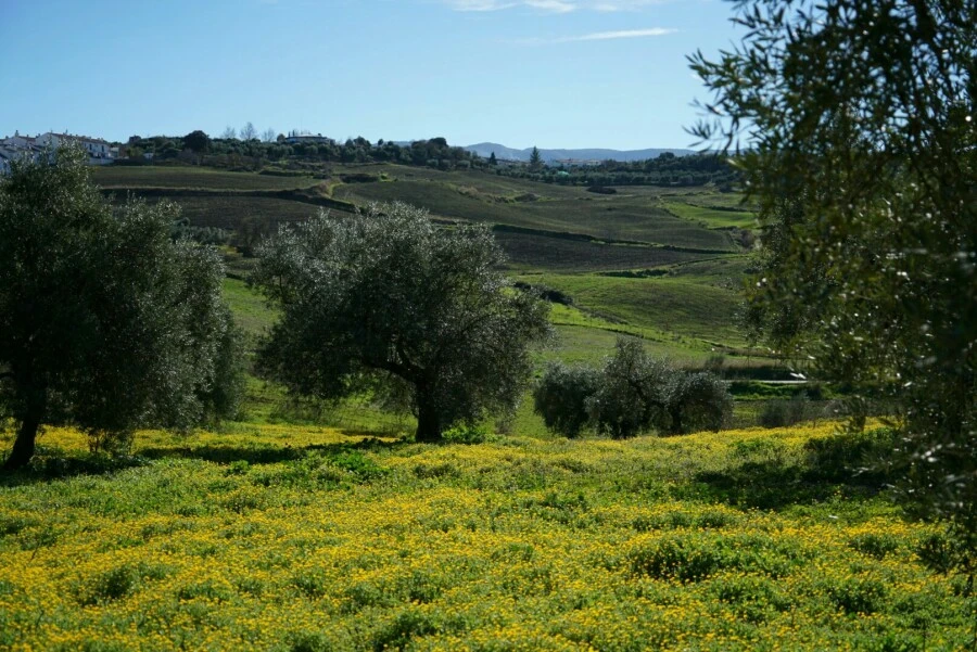 1488456758787.jpg?type=w966