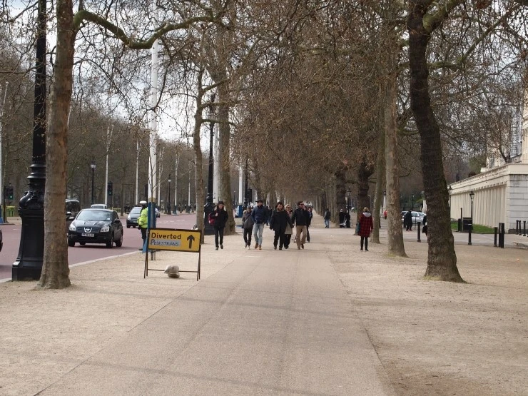 P1016145.JPG?type=w1