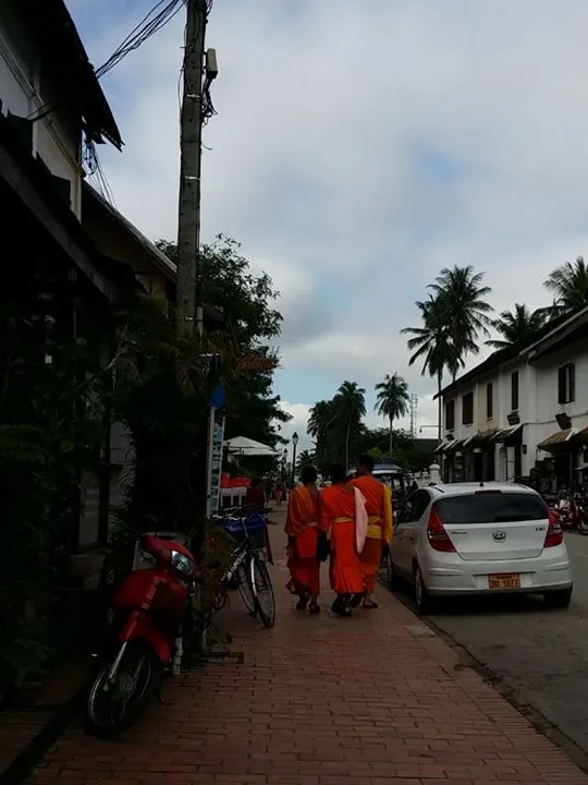 1274790_710746845659965_4385832183025548866_o.jpg?type=w1